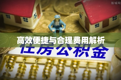 雷山高效便捷与合理费用解析