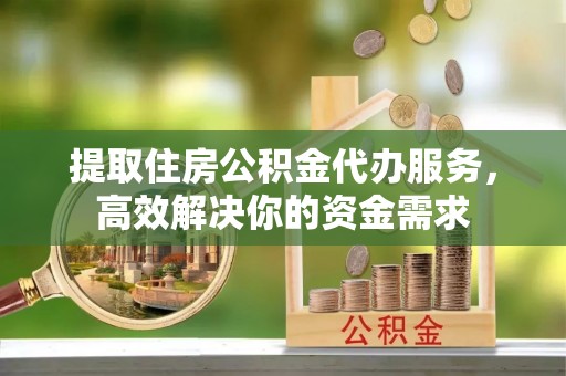 雷山提取住房公积金代办服务，高效解决你的资金需求