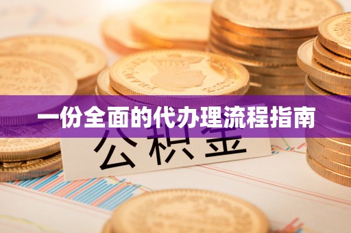 雷山一份全面的代办理流程指南