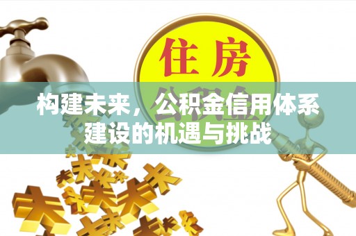 雷山构建未来，公积金信用体系建设的机遇与挑战