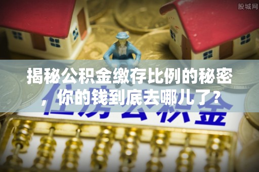 雷山揭秘公积金缴存比例的秘密，你的钱到底去哪儿了？