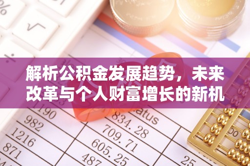 雷山解析公积金发展趋势，未来改革与个人财富增长的新机遇