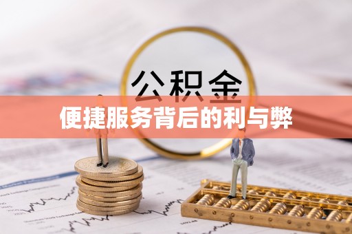 雷山便捷服务背后的利与弊
