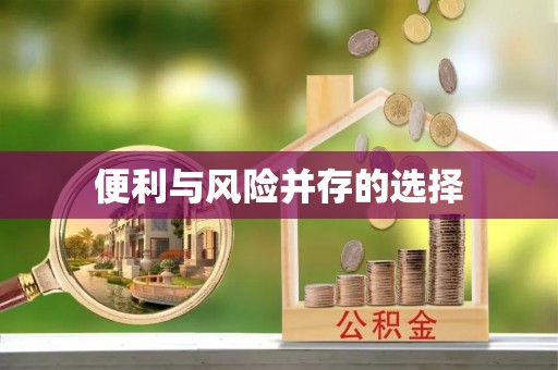 雷山便利与风险并存的选择