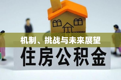 雷山机制、挑战与未来展望
