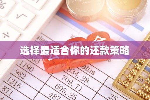 雷山选择最适合你的还款策略