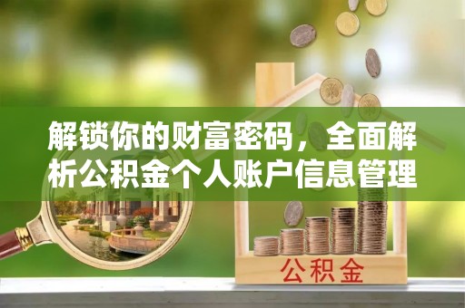 雷山解锁你的财富密码，全面解析公积金个人账户信息管理与优化