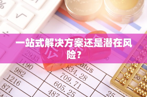 雷山一站式解决方案还是潜在风险？