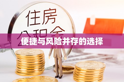 雷山便捷与风险并存的选择