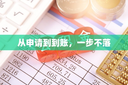 雷山从申请到到账，一步不落