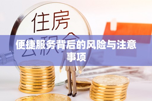 雷山便捷服务背后的风险与注意事项